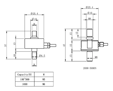 SL203-1.JPG
