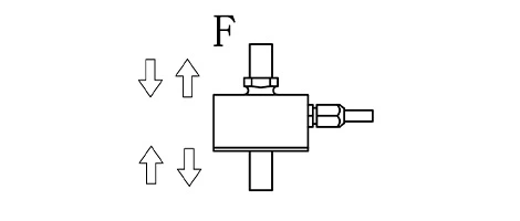 SL205-2.JPG