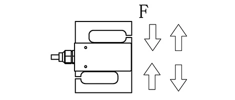 SL307-2.JPG