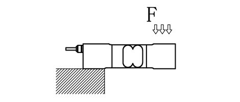 SL546-2.JPG